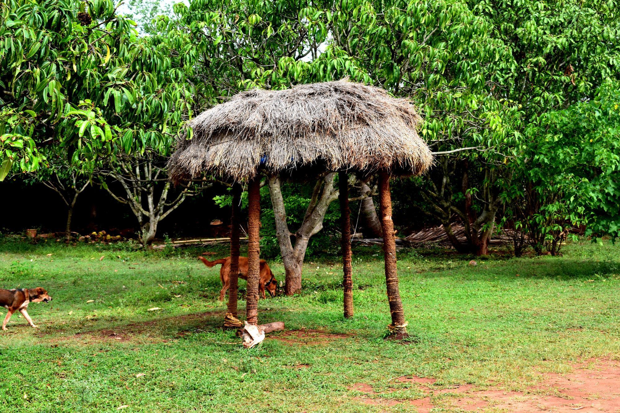 Our Native Village Gādigarpālya Exteriér fotografie